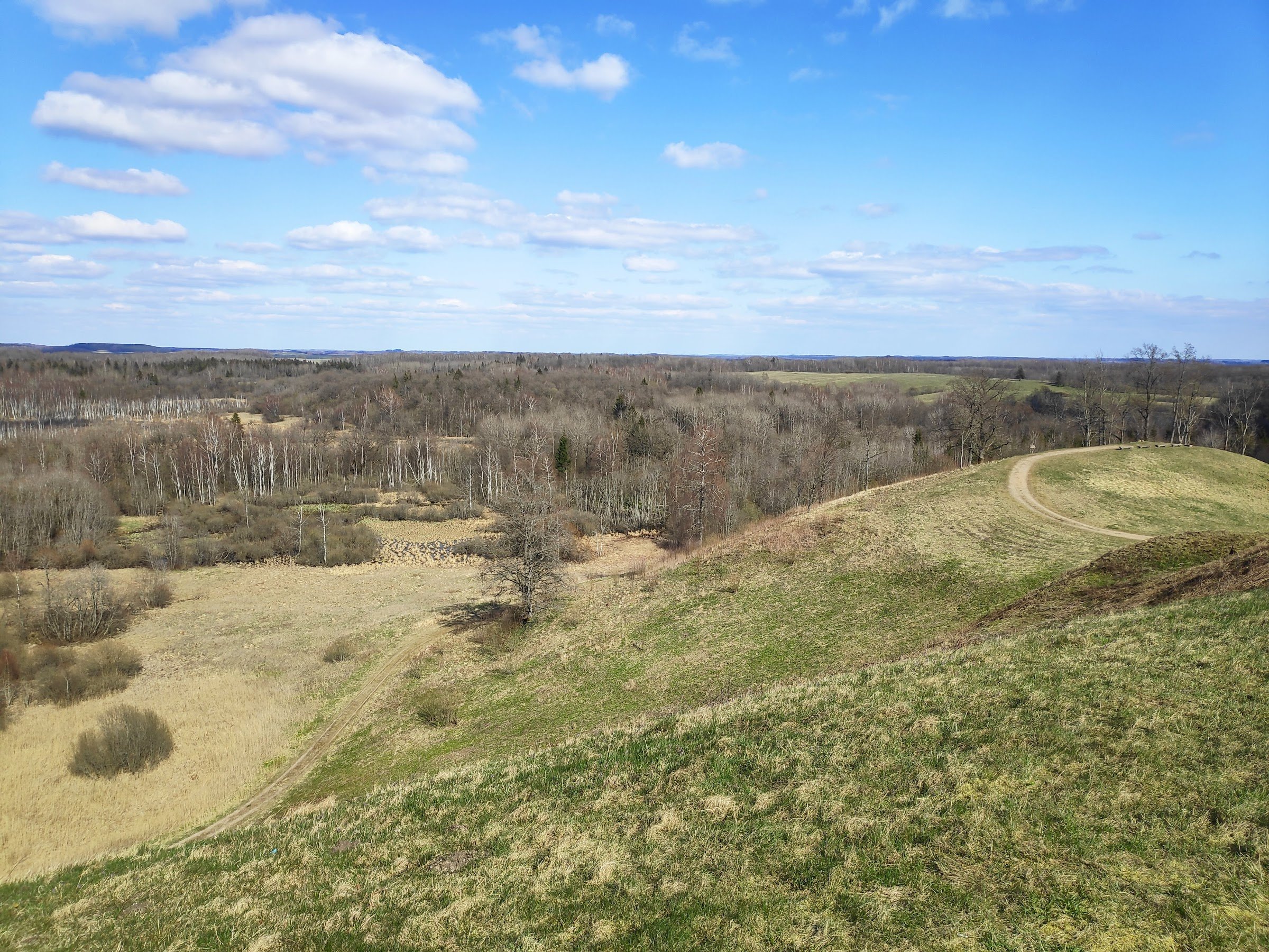Medvėgalio Hill (Medvėgalio piliakalnis)